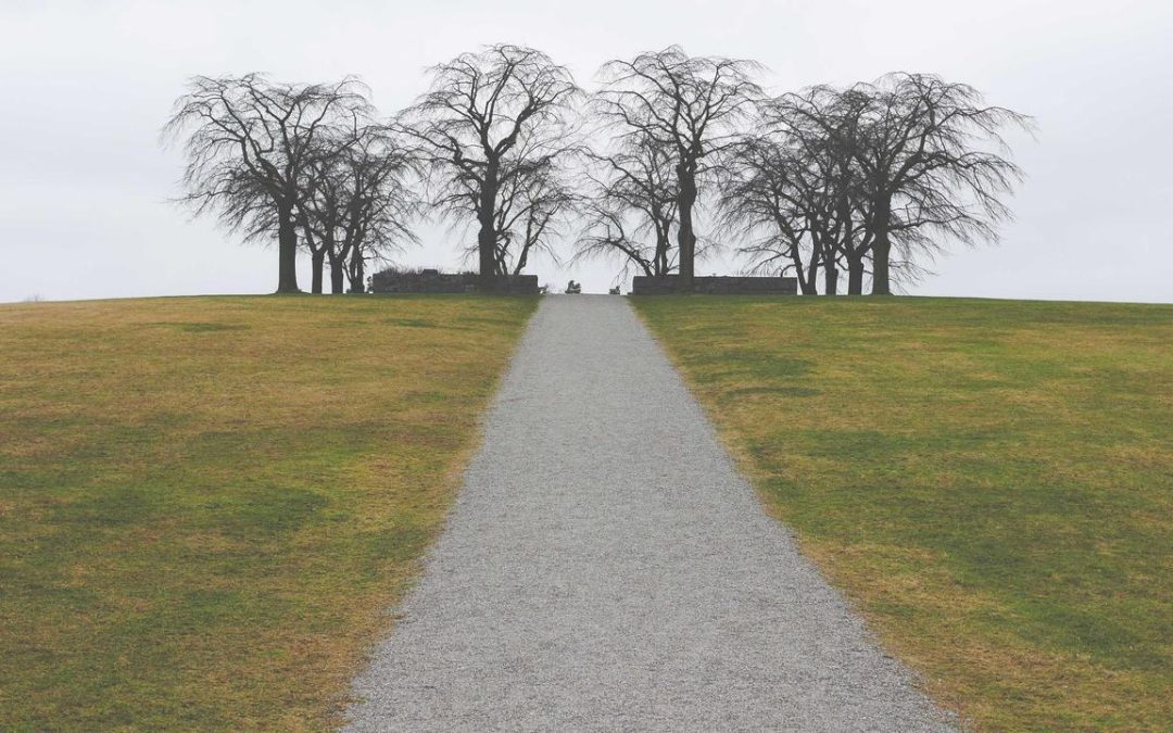 Noticias de Unreal Engine: Actualizaciones, Ofertas y Proyectos Inspiradores